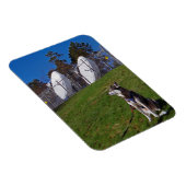 Tracker Magnet (Rechte Seite)