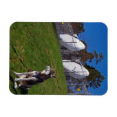 Tracker Magnet (Horizontal)