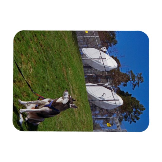 Tracker Magnet (Horizontal)