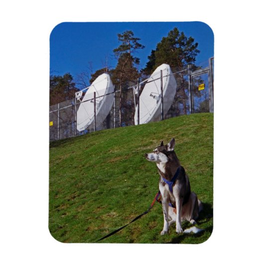 Tracker Magnet (Vertikal)