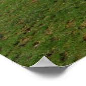 Tracker Poster (Ecke)