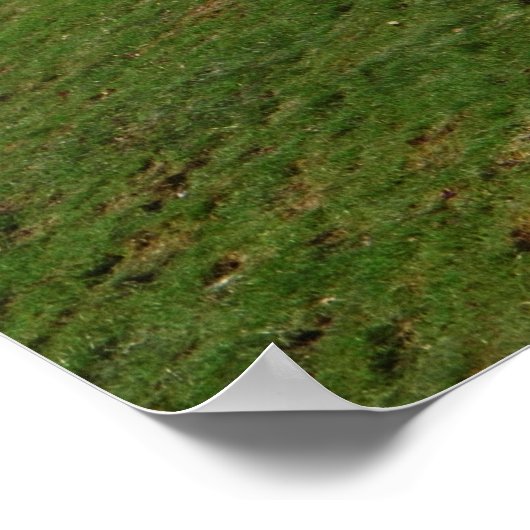 Tracker Poster (Ecke)