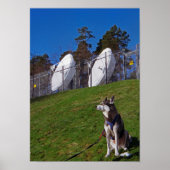 Tracker Poster (Vorne)