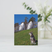 Tracker Postkarte (Stehend Vorderseite)