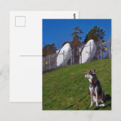Tracker Postkarte (Vorne/Hinten)