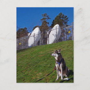 Tracker Postkarte
