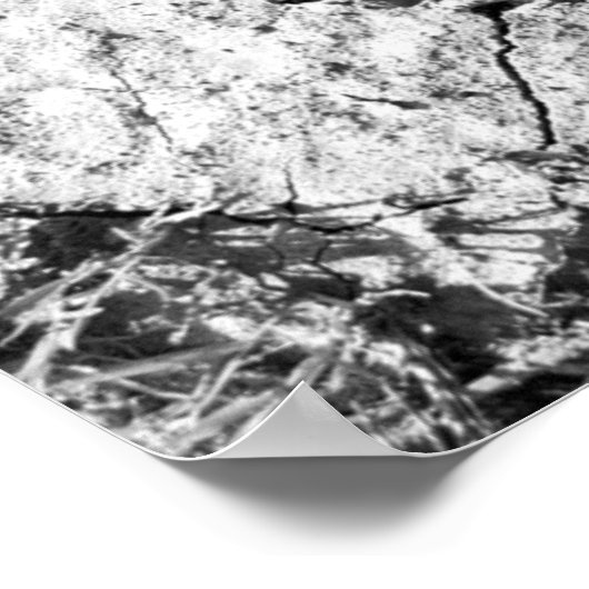 Tracks Poster (Ecke)