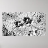 Tracks Poster (Vorne)