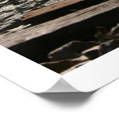 Tracks Poster (Ecke)