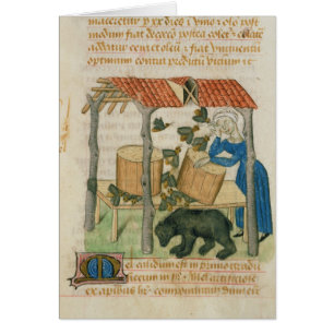 Tractatus de Herbis'