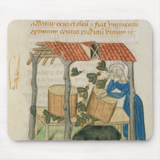 Tractatus de Herbis' Mousepad (Vorne)