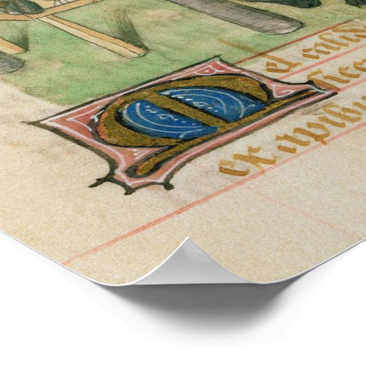 Tractatus de Herbis' Poster (Ecke)