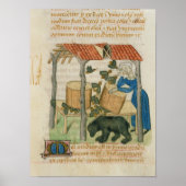 Tractatus de Herbis' Poster (Vorne)