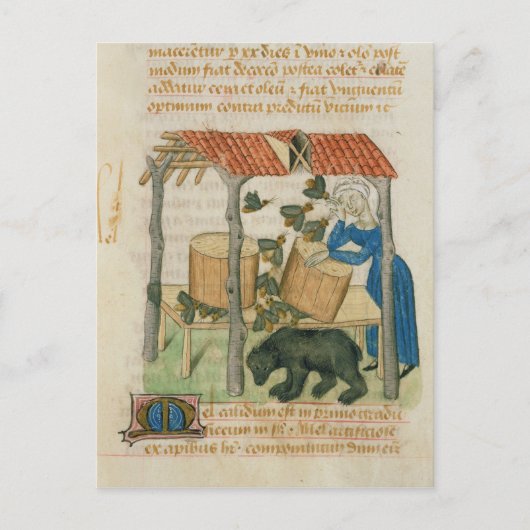 Tractatus de Herbis' Postkarte (Vorderseite)