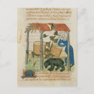 Tractatus de Herbis' Postkarte