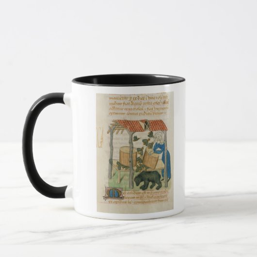 Tractatus de Herbis' Tasse (Links)