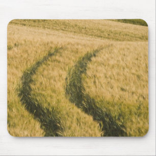 Tractorspuren durch Weizen, Toskana, Italien Mousepad