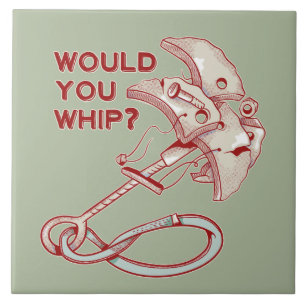 TRAD CLIMBING WHIPPER FALL FLIESE