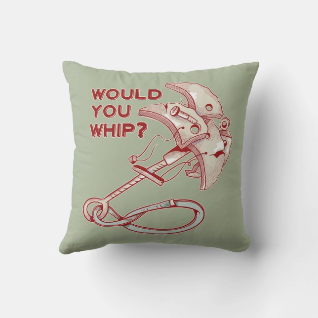 TRAD CLIMBING WHIPPER FALL KISSEN (Rückseite)