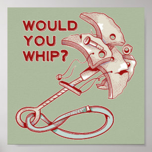 TRAD CLIMBING WHIPPER FALL POSTER