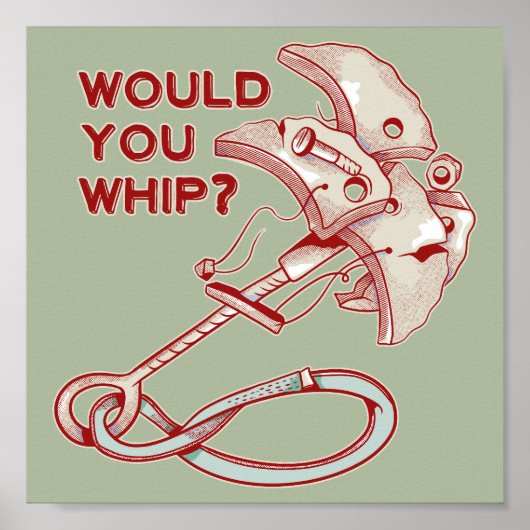 TRAD CLIMBING WHIPPER FALL POSTER (Vorne)