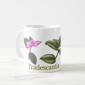Tradescantia 2 kaffeetasse (Vorderseite Links)