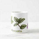 Tradescantia cup kaffeetasse (Mittel)