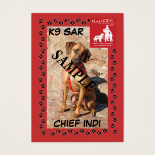 Trading Cards SAR K9 (Schleppen)
