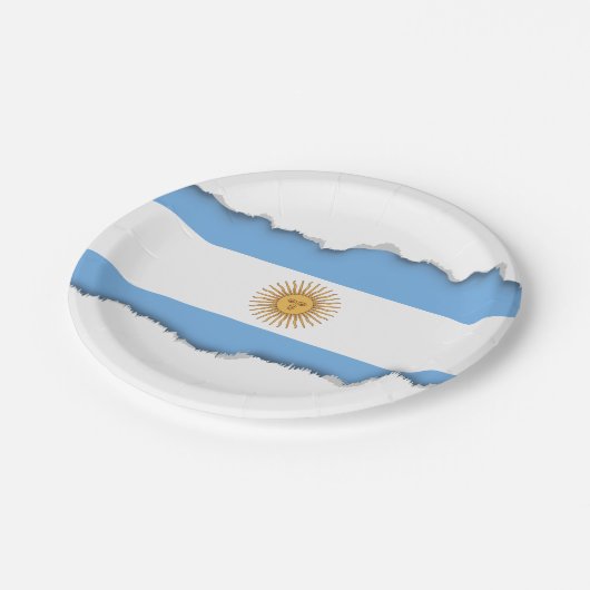Traditionelle argentinische Flagge Pappteller (Schrägansicht)