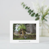 Traditionelle Foie Gras Gänse Hof Weiße Postkarte (Stehend Vorderseite)