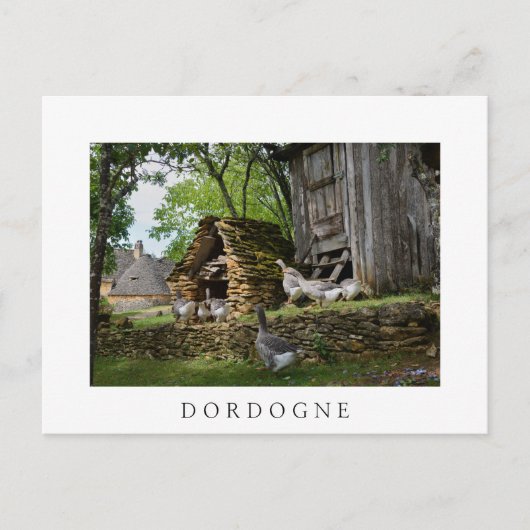 Traditionelle Foie Gras Gänse Hof Weiße Postkarte (Vorderseite)