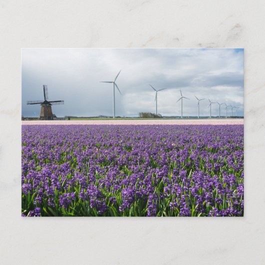 Traditionelle und moderne Windmühle, Holland Postc Postkarte (Vorderseite)