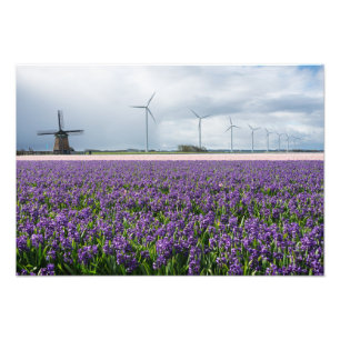 Traditionelle und moderne Windmühle in Holland dru Fotodruck