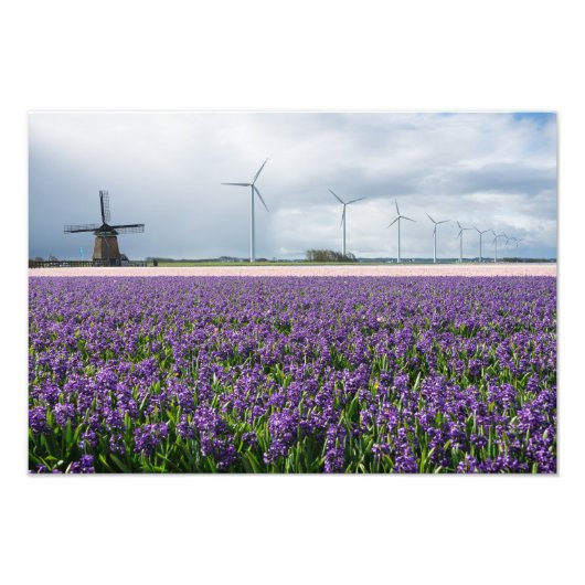 Traditionelle und moderne Windmühle in Holland dru Fotodruck (Vorne)