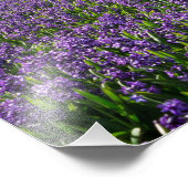 Traditionelle und moderne Windmühle in Holland dru Fotodruck (Ecke)