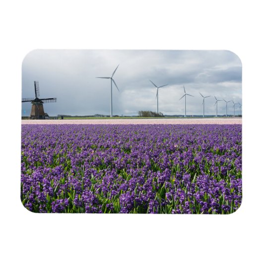 Traditionelle und moderne Windmühle in Holland Mag Magnet (Horizontal)