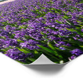 Traditionelle und moderne Windmühle in holländisch Poster (Ecke)