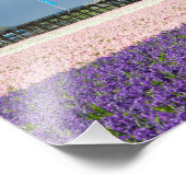 Traditionelle Windmühle mit rosa und violetten Blu Fotodruck (Ecke)