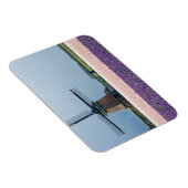 Traditionelle Windmühle mit rosa und violetten Blu Magnet (Rechte Seite)