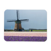 Traditionelle Windmühle mit rosa und violetten Blu Magnet (Horizontal)