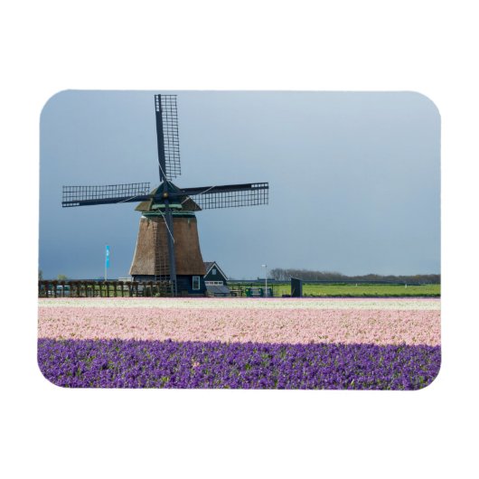 Traditionelle Windmühle mit rosa und violetten Blu Magnet (Horizontal)
