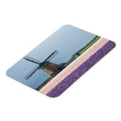 Traditionelle Windmühle mit rosa und violetten Blu Magnet (Linke Seite)