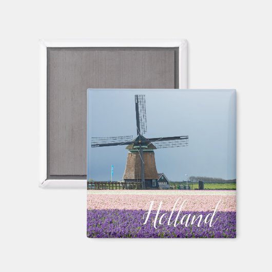 Traditionelle Windmühle mit rosa und violetten Blu Magnet (Vorderseite/Rückseite)