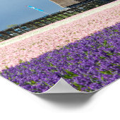 Traditionelle Windmühle mit rosa und violetten Blu Poster (Ecke)