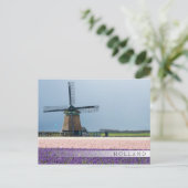 Traditionelle Windmühle mit rosa und violetten Blu Postkarte (Stehend Vorderseite)