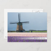 Traditionelle Windmühle mit rosa und violetten Blu Postkarte (Vorne/Hinten)