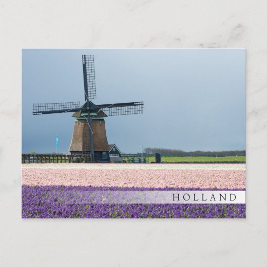 Traditionelle Windmühle mit rosa und violetten Blu Postkarte (Vorderseite)