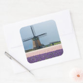Traditionelle Windmühle mit rosa und violetten Blu Quadratischer Aufkleber (Umschlag)