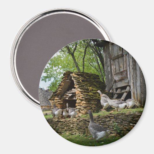 Traditioneller Gänsebauernmagnet Magnet (Vorderseite/Rückseite)