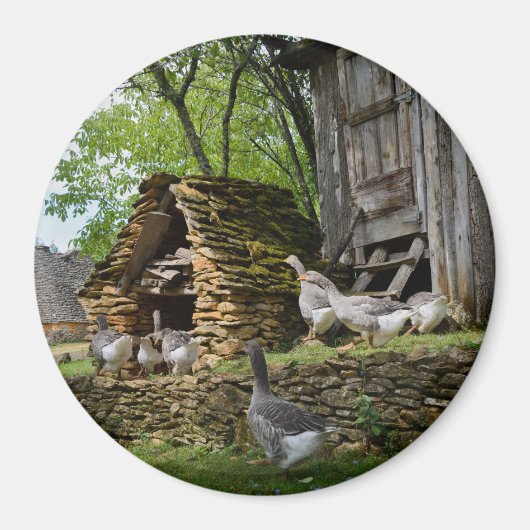 Traditioneller Gänsebauernmagnet Magnet (Vorne)